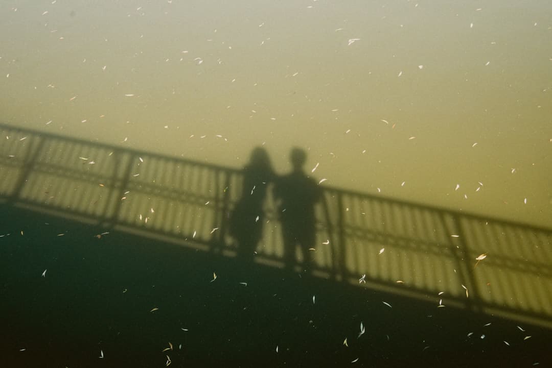 漳浦：告别排长龙 “潮汐窗口”高效灵活